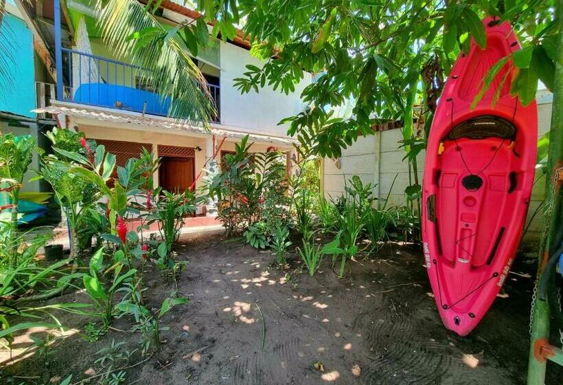 פנסיון Wildlife Tortuguero