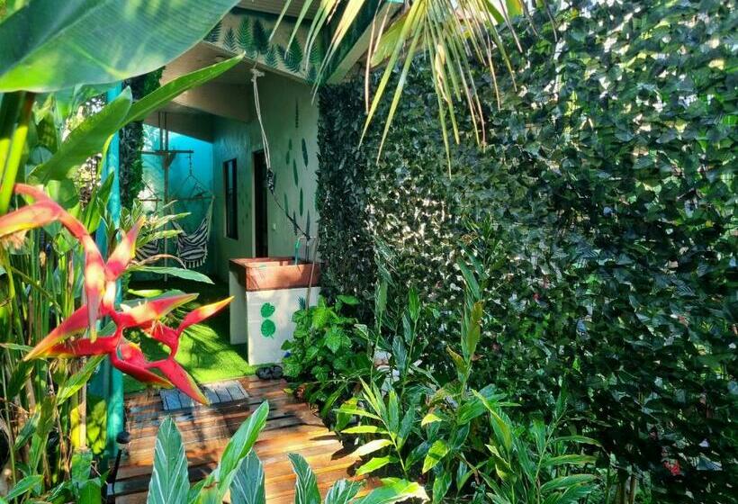 פנסיון Wildlife Tortuguero