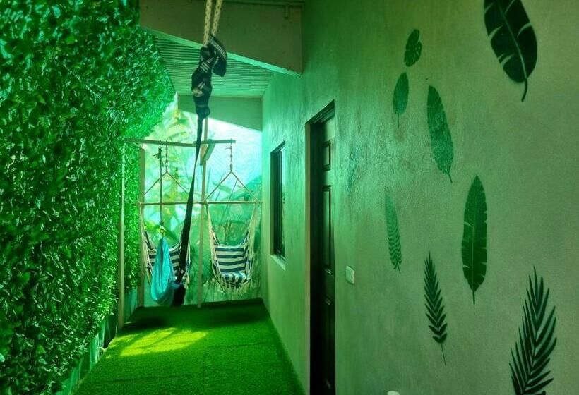 פנסיון Wildlife Tortuguero