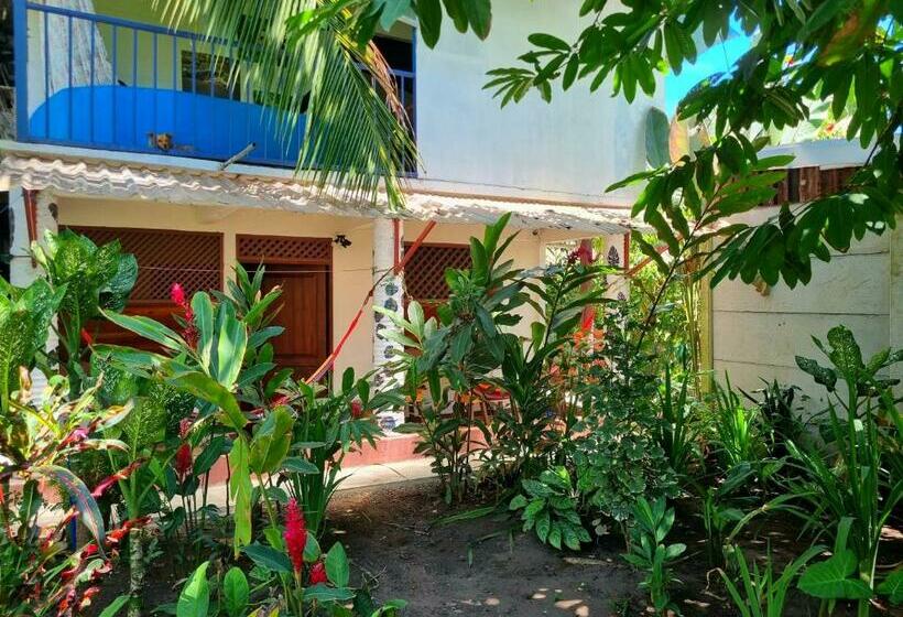 פנסיון Wildlife Tortuguero