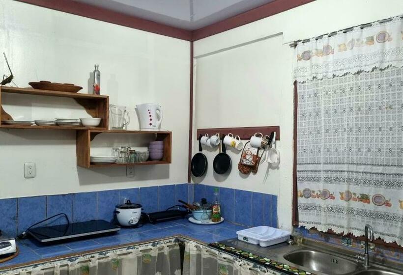 פנסיון Wildlife Tortuguero