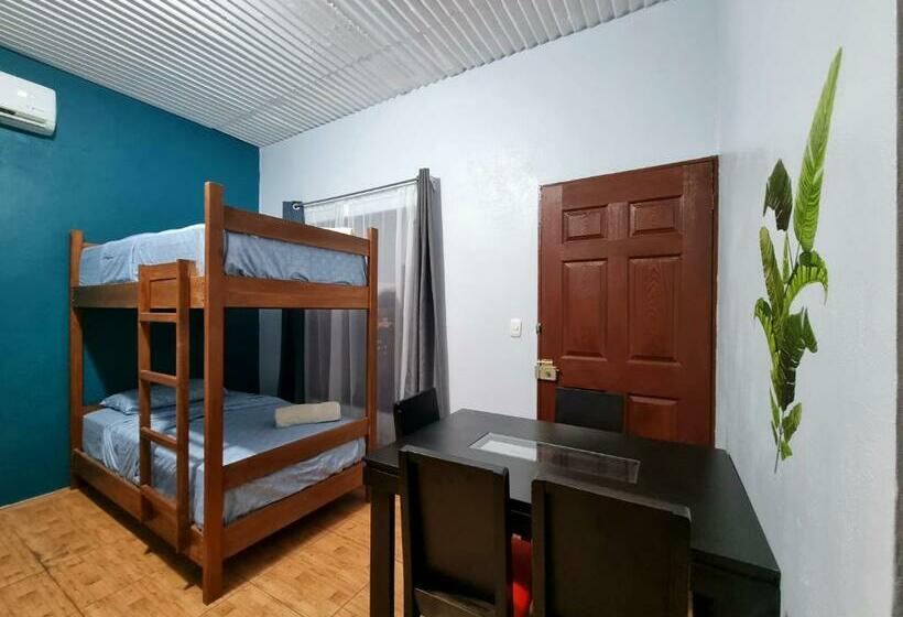 פנסיון Wildlife Tortuguero