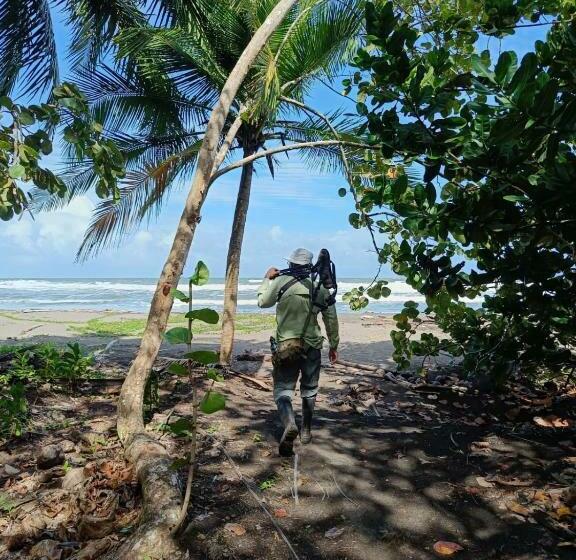 פנסיון Wildlife Tortuguero