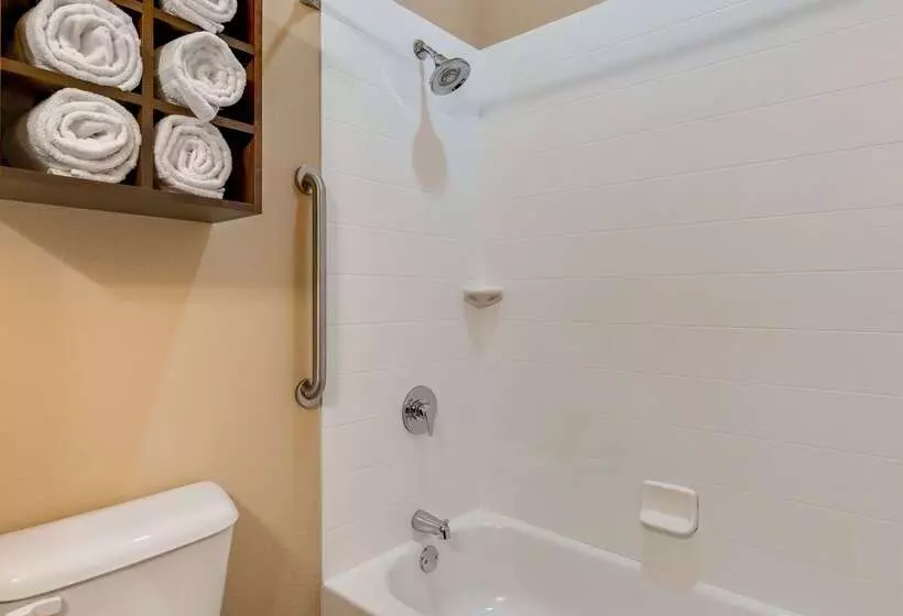 Best Western St. Louis Airport North Hotel & Suites