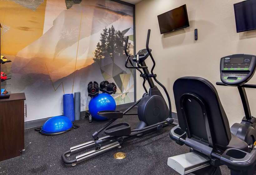 Best Western St. Louis Airport North Hotel & Suites