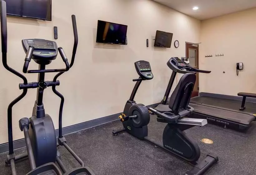 Best Western St. Louis Airport North Hotel & Suites