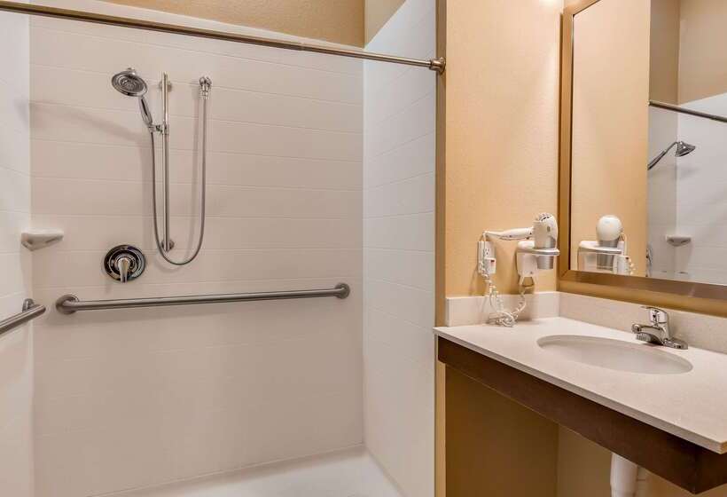 Best Western St. Louis Airport North Hotel & Suites