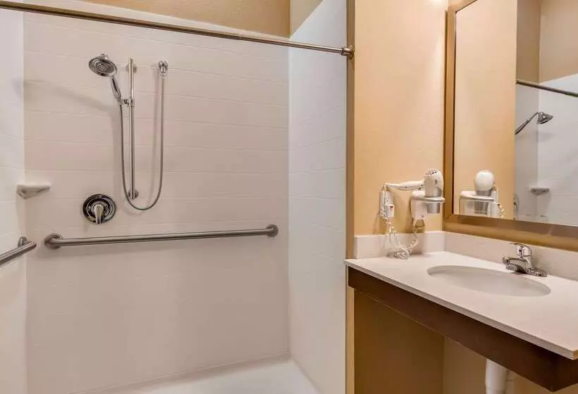 Best Western St. Louis Airport North Hotel & Suites