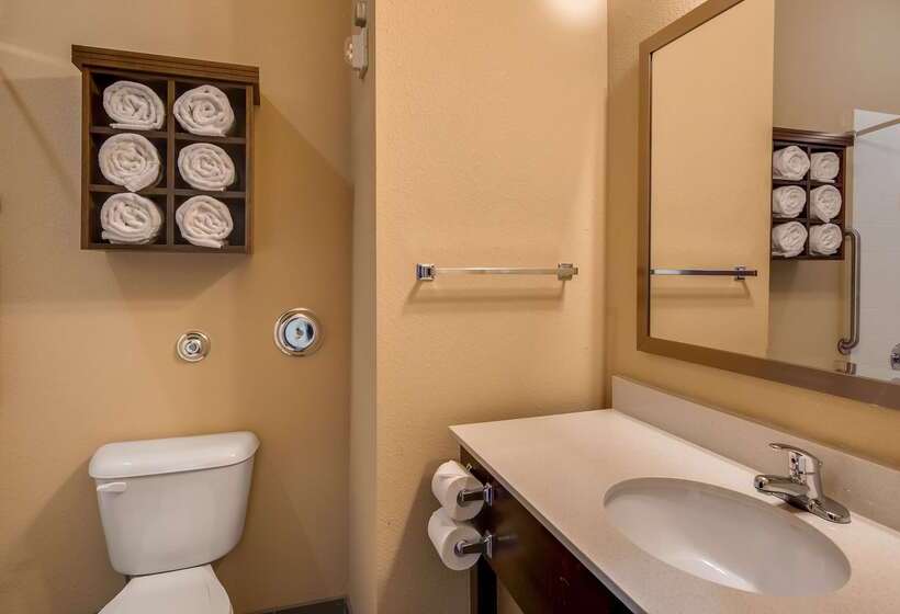 Best Western St. Louis Airport North Hotel & Suites