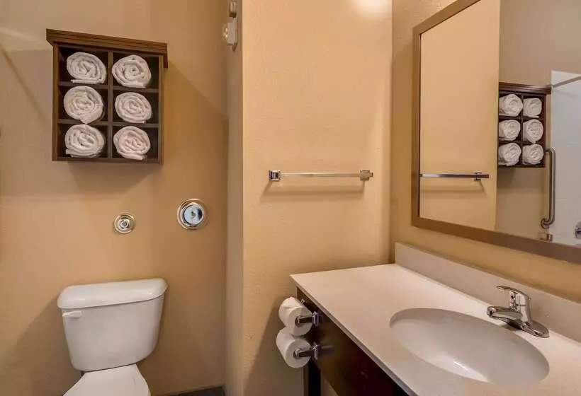 Best Western St. Louis Airport North Hotel & Suites