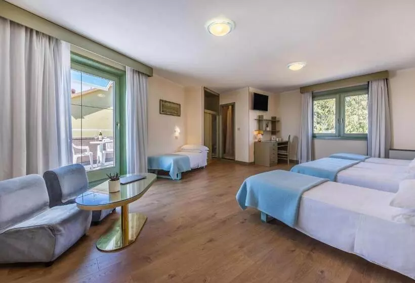 酒店 Aviano Palace