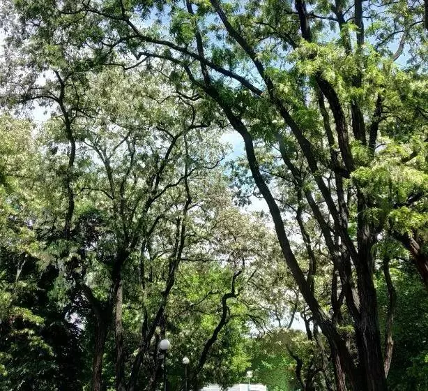 בית מלון כפרי Calipso