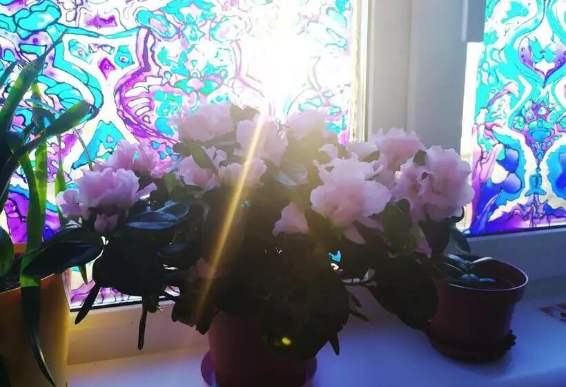 בית מלון כפרי Calipso