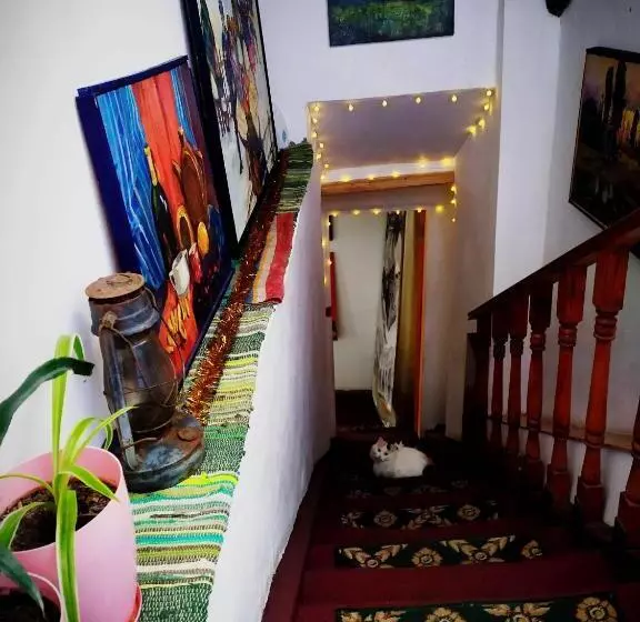 בית מלון כפרי Calipso