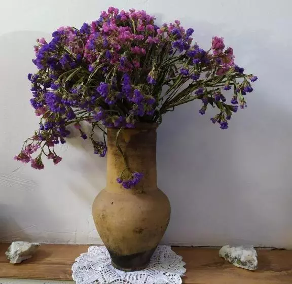 בית מלון כפרי Calipso