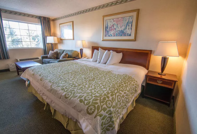 Hotel Days Inn & Suites Latham/Albany North