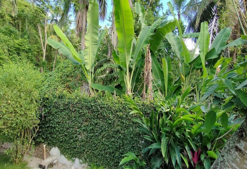 هتل House Jardin Del Caribe