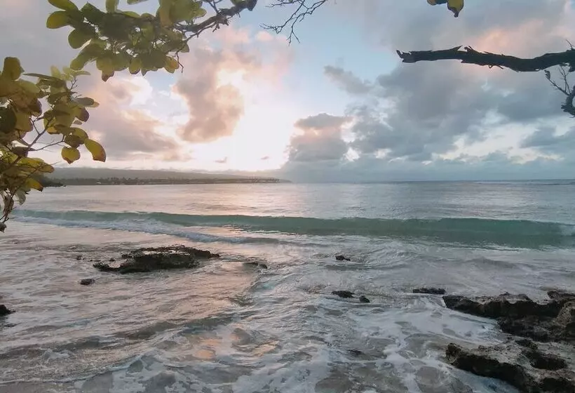 هتل House Jardin Del Caribe