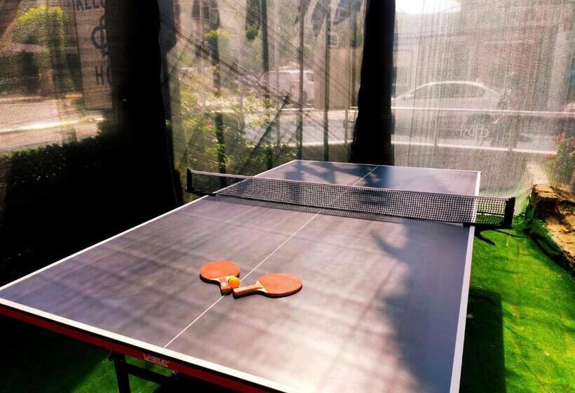 בית מלון כפרי Kleopatra Arsi