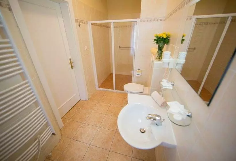 酒店 Lázeňská Léčebna Mánes