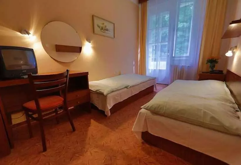 酒店 Lázeňská Léčebna Mánes