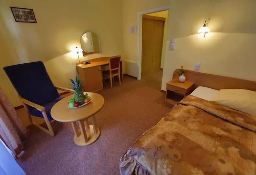 酒店 Lázeňská Léčebna Mánes