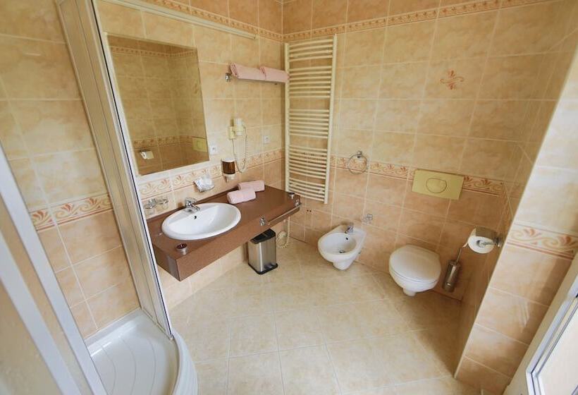 Hotel Lázeňská Léčebna Mánes