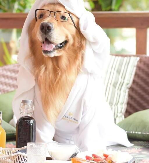 Отель Estaleiro Guest House