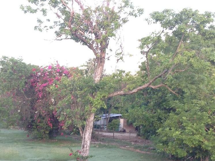 هتل Royale Hummingbird Cliff Resort