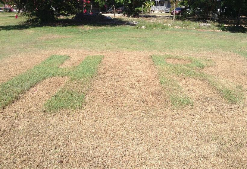 هتل Royale Hummingbird Cliff Resort