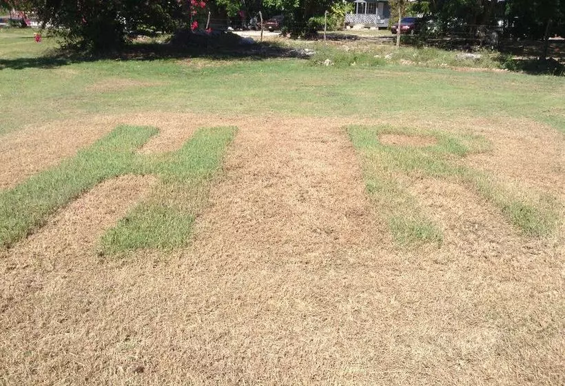 هتل Royale Hummingbird Cliff Resort