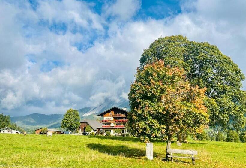 호텔 Pension Möslehnerhof