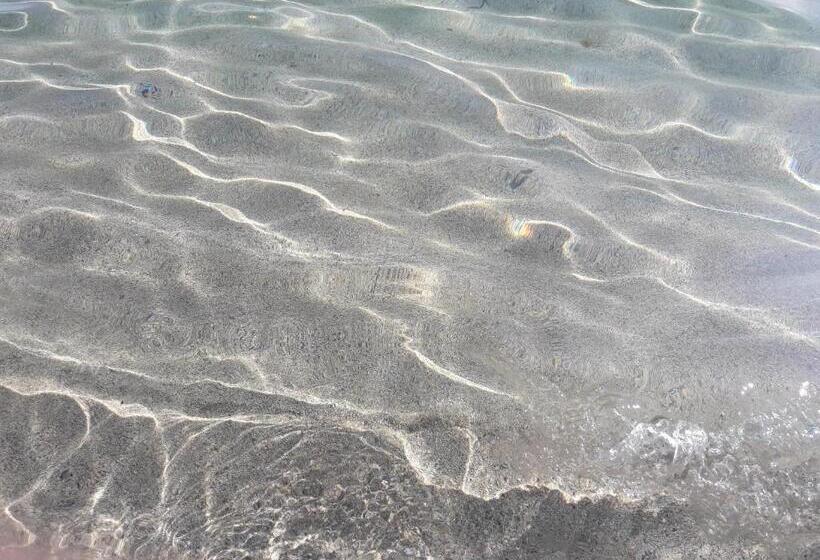 膳宿费 Affittacamere B&b Il Fiore