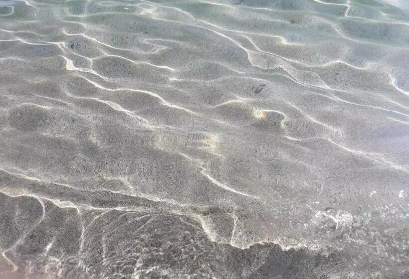 Majatalo Affittacamere B&b Il Fiore