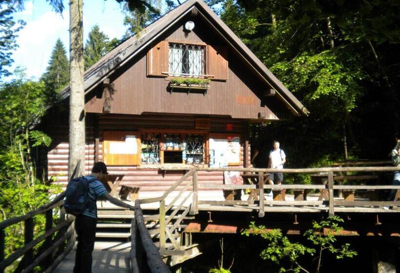 پانسیون Apartma žvan