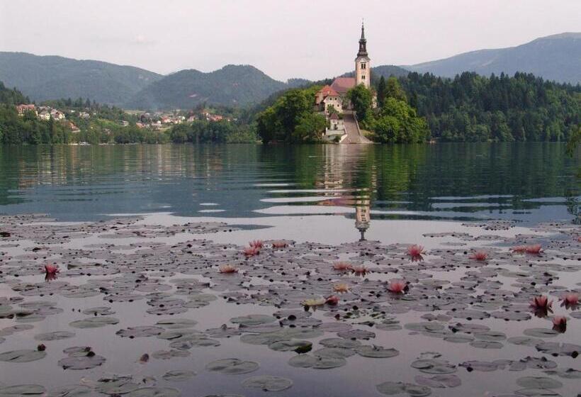 پانسیون Apartma žvan