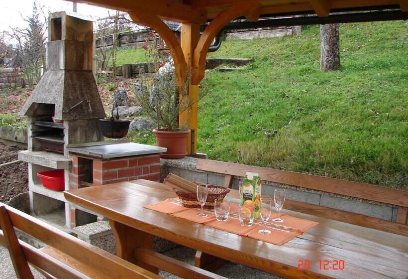 پانسیون Apartma žvan