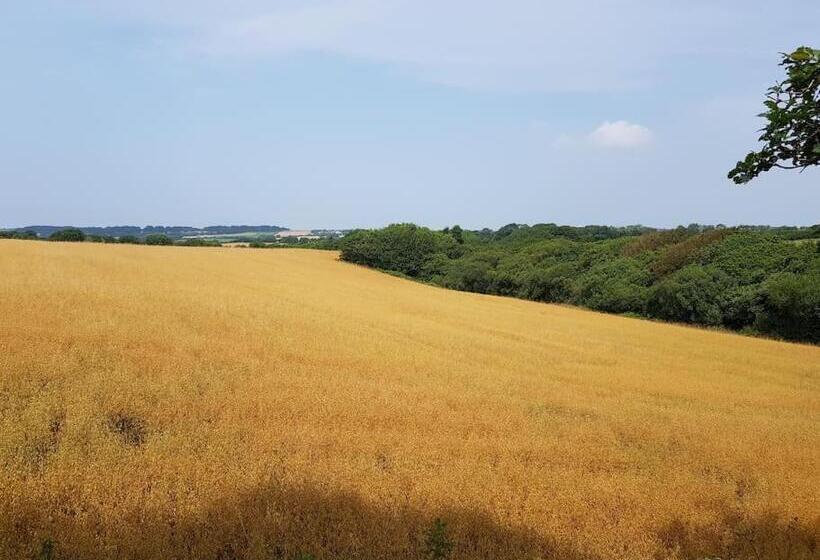 The Old Potting Shed With Hot Tub. Colan, Newquay