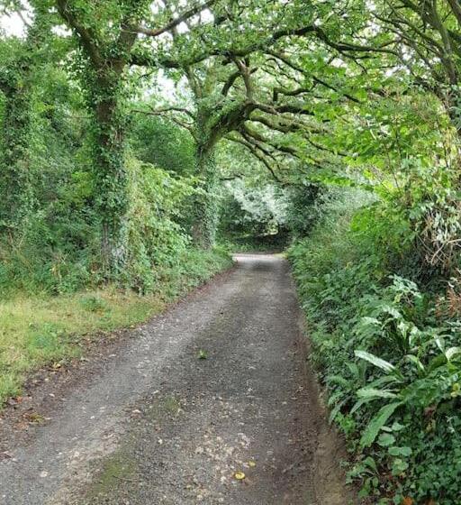 The Old Potting Shed With Hot Tub. Colan, Newquay