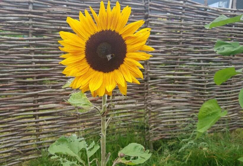The Old Potting Shed With Hot Tub. Colan, Newquay