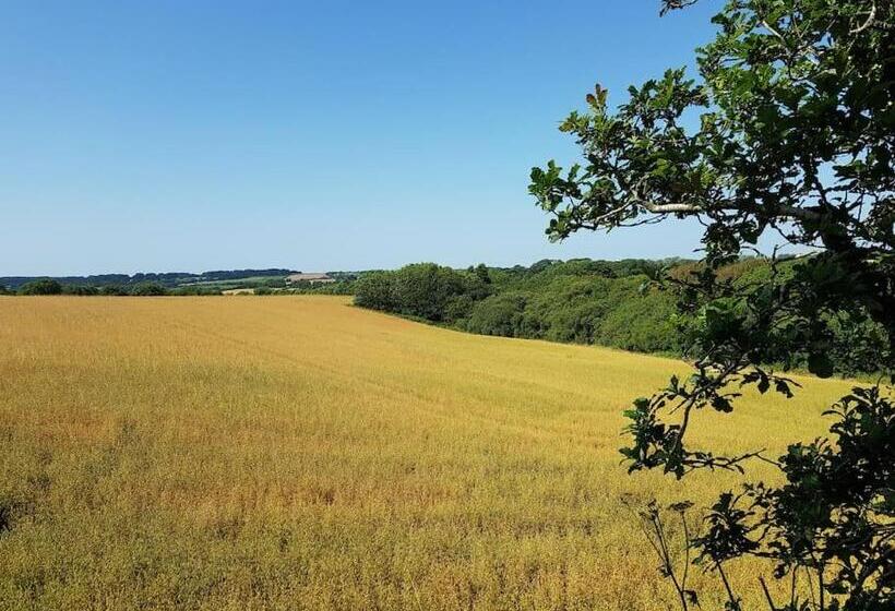 The Old Potting Shed With Hot Tub. Colan, Newquay