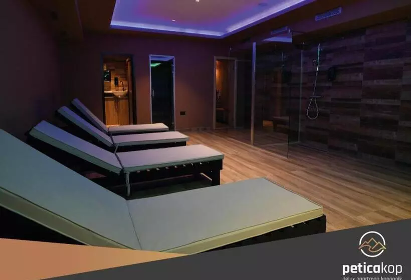 Apartman Petica Kop A8 Kopaonik