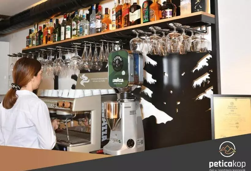 Apartman Petica Kop A8 Kopaonik