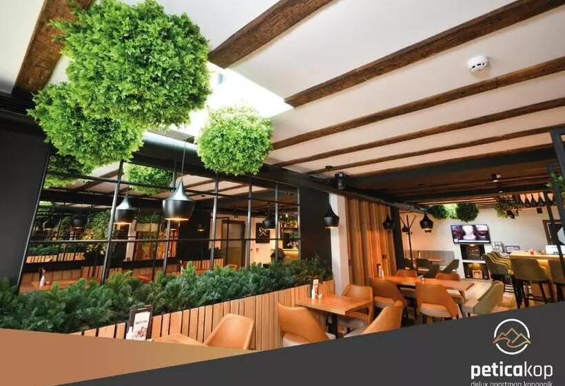 Apartman Petica Kop A8 Kopaonik