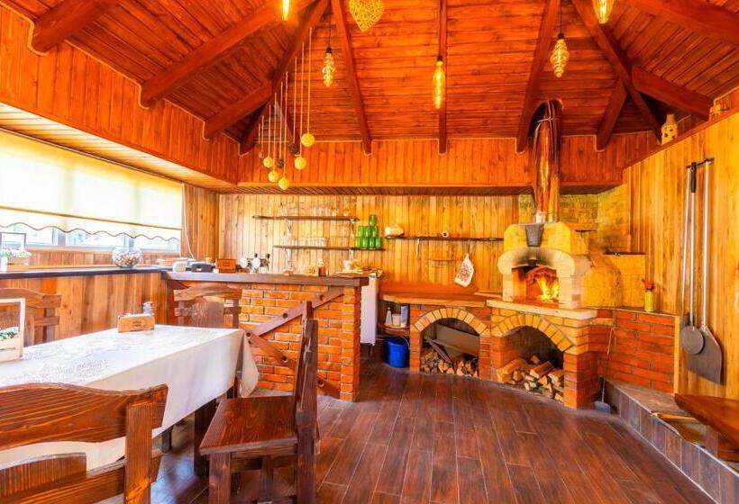 בית מלון כפרי у румуна