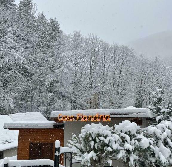 ペンション Casa Flandria