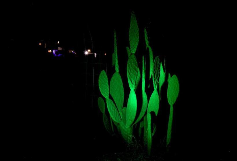 Пансион Moonlight Suite Arad צימר אור הירח, ערד