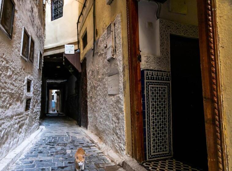 膳宿费 Riad Dar Omar