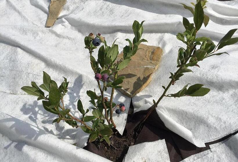 فندق Lake View Apartments Near Golf Resort Kunětická Hora, Dříteč