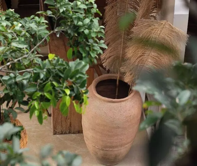 Retkeilymaja Corais De Trancoso Boutique